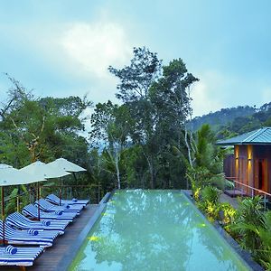 Niraamaya Retreats Cardamom Club